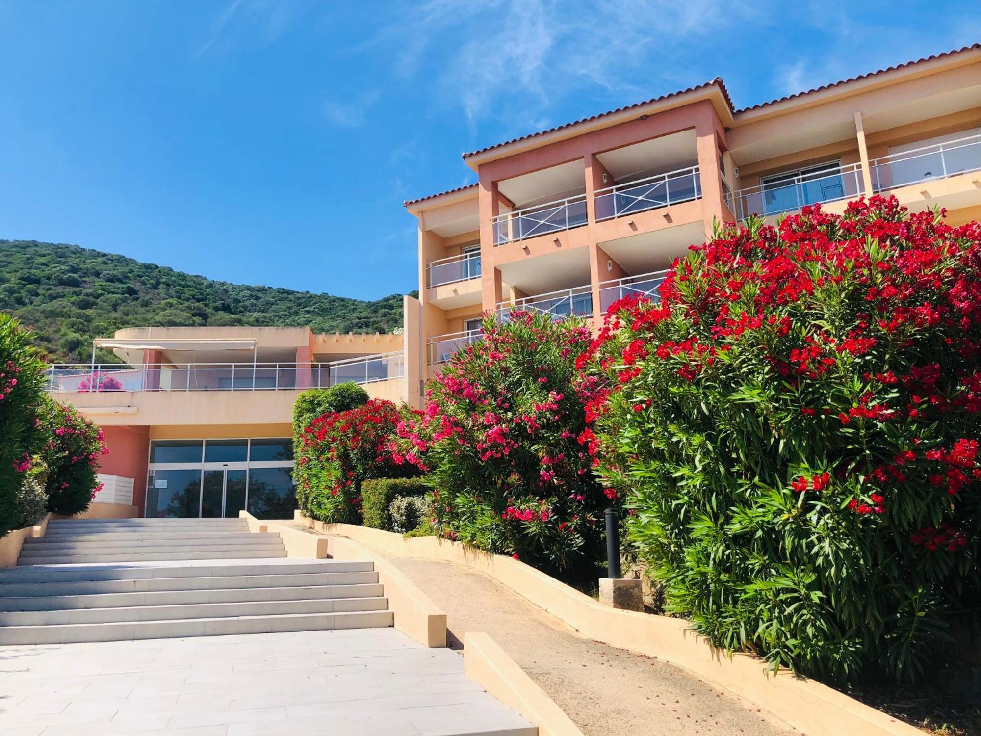 Evasion Corse - T2 Vue Mer, Piscine & Plage Ajaccio  Exterior foto